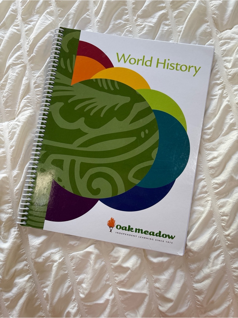Oak Meadow High School World History Coursebook - Pristine Condition